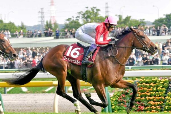 日本ダービー2026調教チェック！特Ａ評価・調教爆穴はこの馬だ！