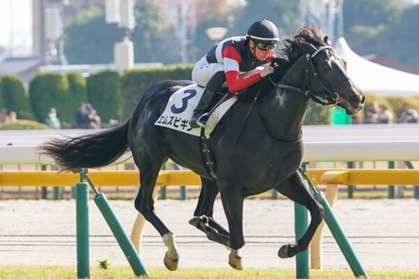 京都新聞杯2026データ分析！大穴はこの馬じゃー！