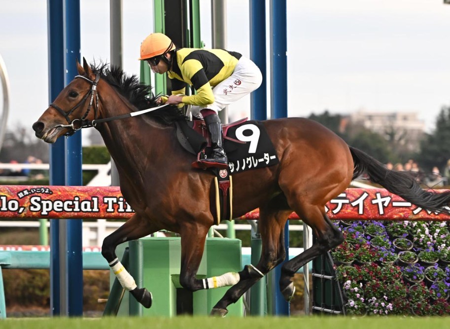 ラジオNIKKEI賞2026予想！大穴狙いで逝くぜぇ！