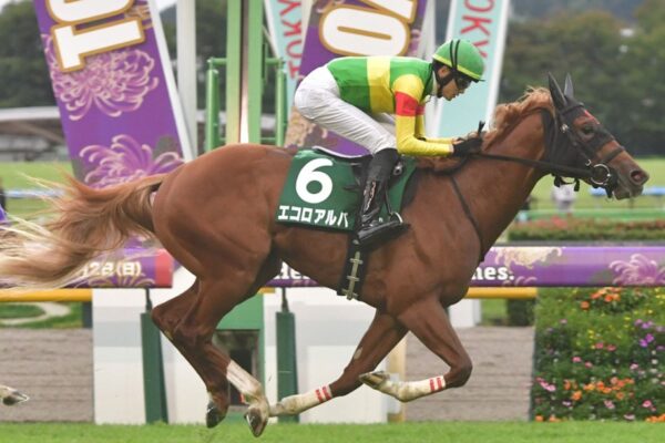 しらさぎS2026データ分析！大穴狙いはこの馬じゃー！