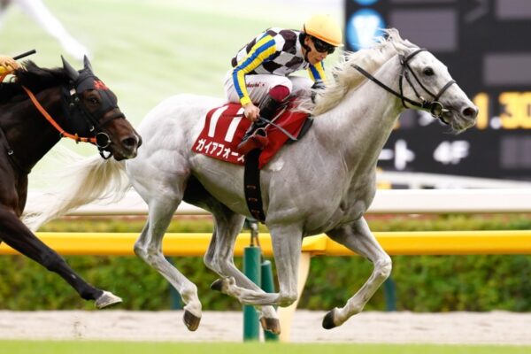 安田記念2026予想！大穴狙いで逝くぜぇ！