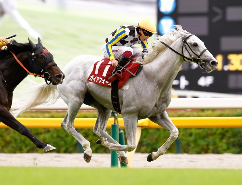 安田記念2026予想！大穴狙いで逝くぜぇ！