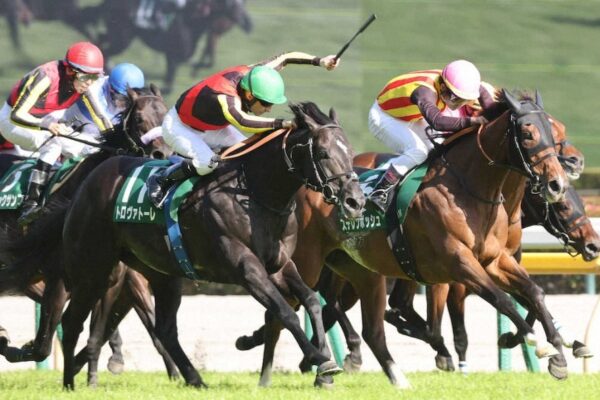 安田記念2026データ分析！大穴はこの馬じゃー！