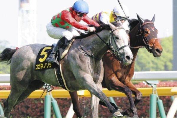 府中牝馬S2026予想！大穴狙いで逝くぜぇ！