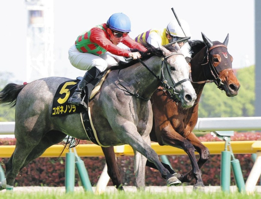 府中牝馬S2026予想！大穴狙いで逝くぜぇ！