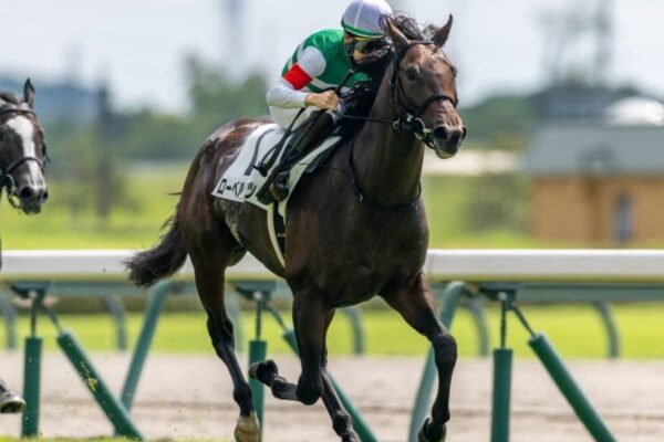 ラジオNIKKEI賞2026データ分析！大穴はこの馬じゃー！