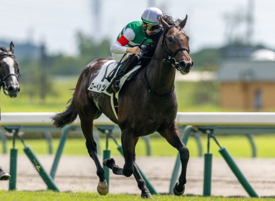 ラジオNIKKEI賞2026データ分析！大穴はこの馬じゃー！