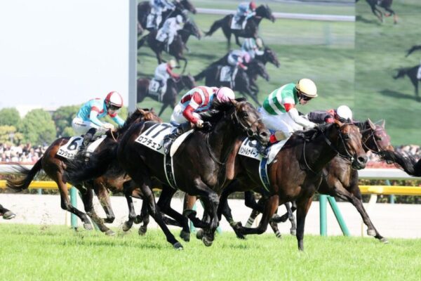 菊花賞2026データ分析！週末は雨？重馬場適正は？大穴はこの馬！