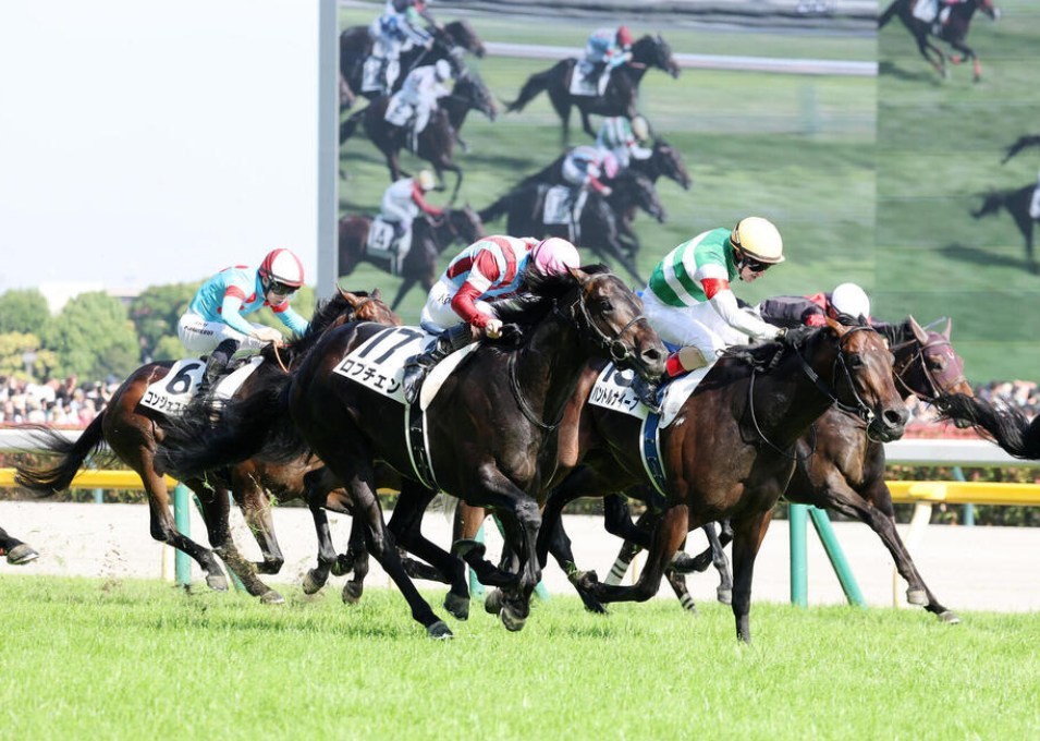 菊花賞2026データ分析！週末は雨？重馬場適正は？大穴はこの馬！