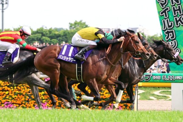 安田記念2026調教チェック！特A評価・調教爆穴はこの馬だ！