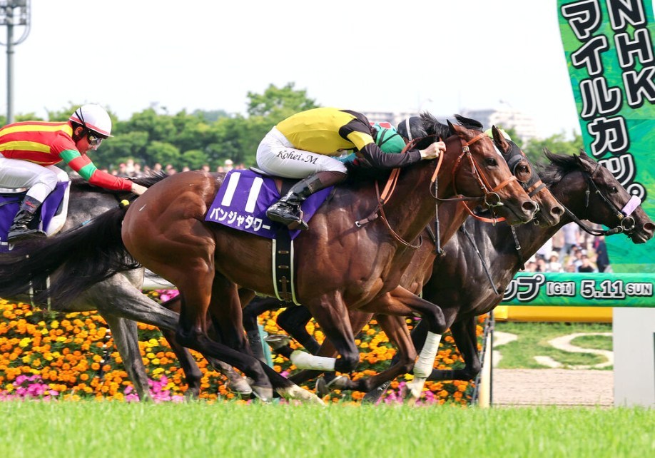 安田記念2026調教チェック！特A評価・調教爆穴はこの馬だ！