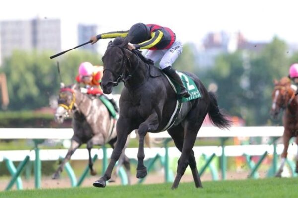 函館記念2026データ分析！大穴狙いはこの馬じゃー！