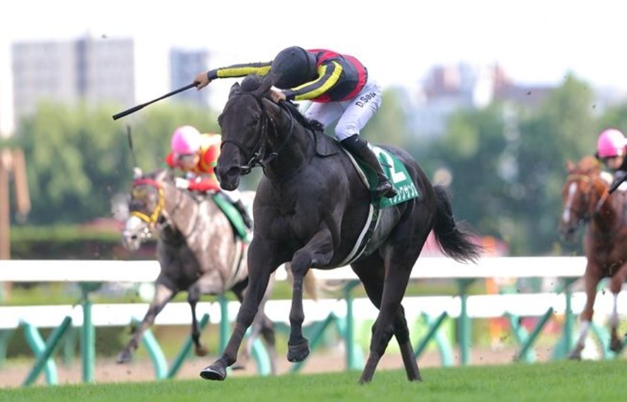 函館記念2026データ分析！大穴狙いはこの馬じゃー！