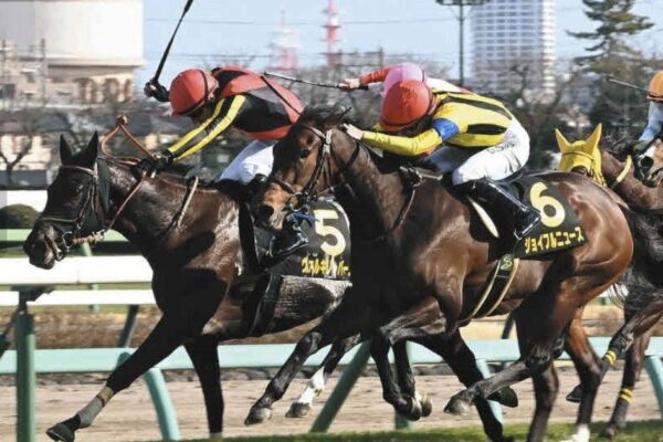 府中牝馬S2026データ分析！大穴はこの馬じゃー！