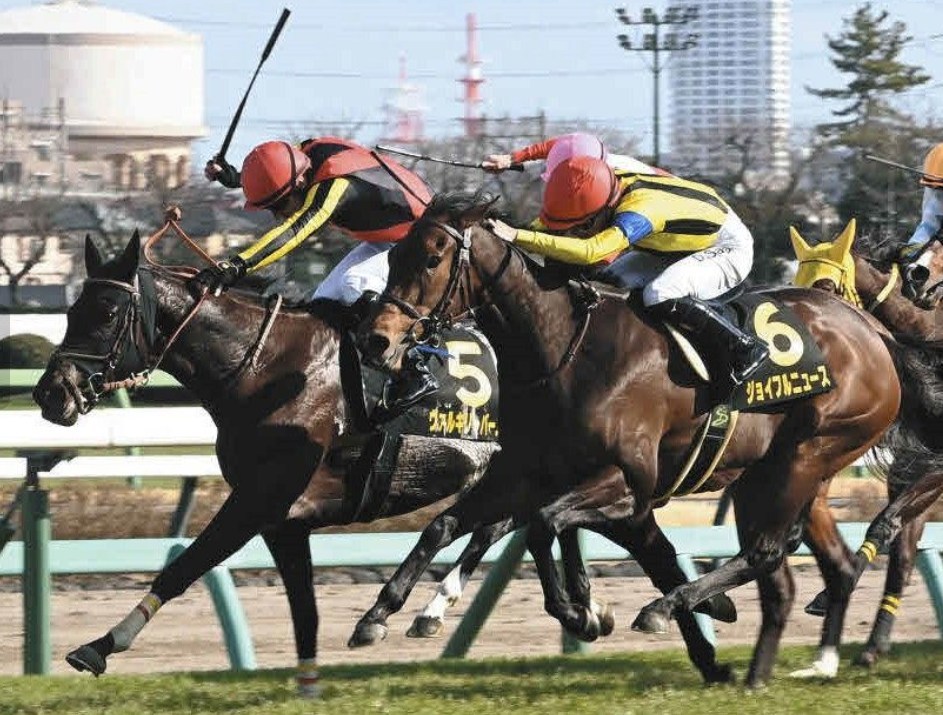 府中牝馬S2026データ分析！大穴はこの馬じゃー！