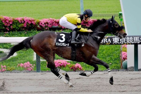 東海S2026データ分析！大穴はこの馬じゃー！