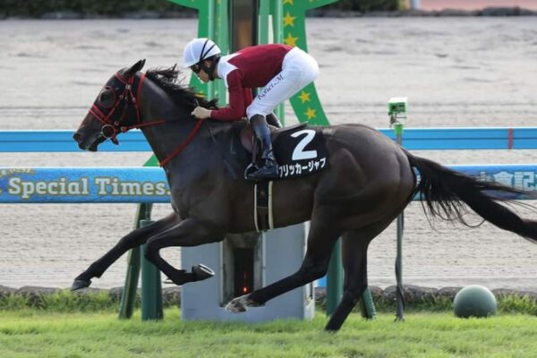北九州記念2026データ分析！大穴はこの馬じゃー！