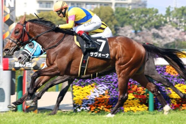 七夕賞2026データ分析！大穴はこの馬じゃー！