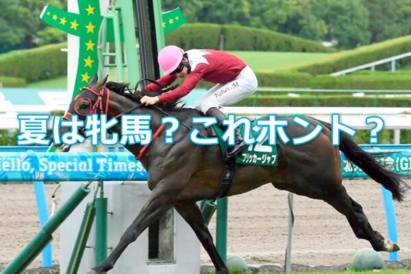夏は牝馬！の格言は本当なのか？ホントは「牝馬は夏」！