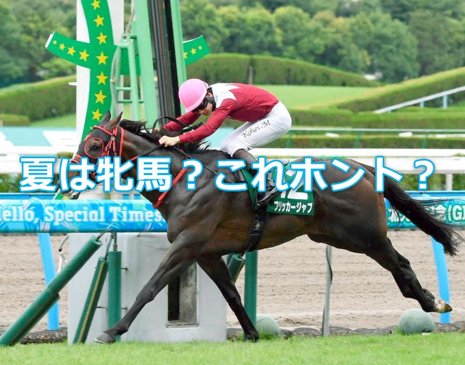 夏は牝馬！の格言は本当なのか？ホントは「牝馬は夏」！