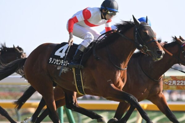 関屋記念2026データ分析！週末は雨？重馬場適正は？大穴はこの馬！