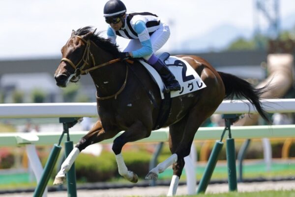 函館2歳ステークス2026データ分析！大穴はこの馬じゃー！