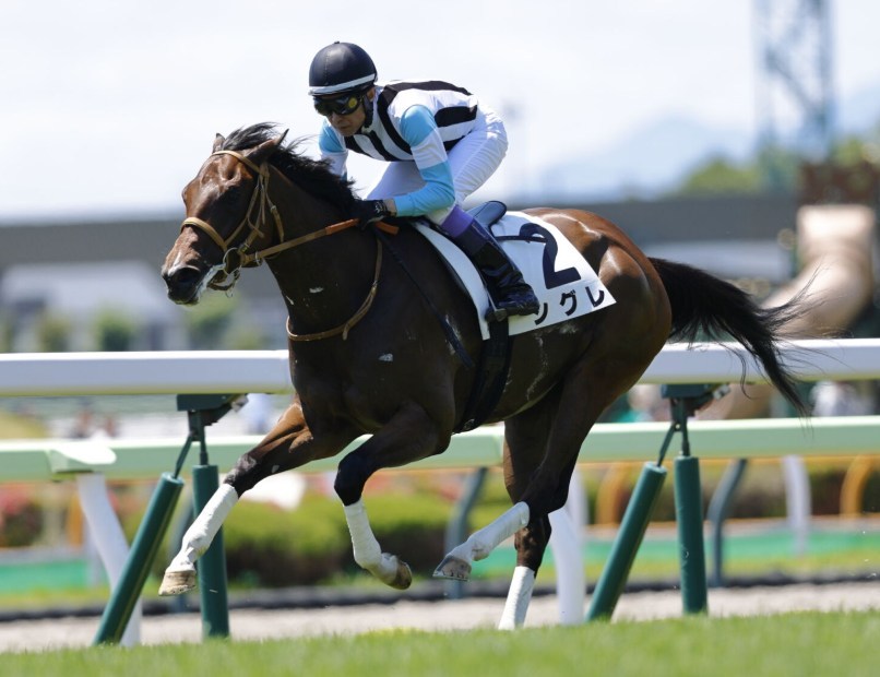 函館2歳ステークス2026データ分析！大穴はこの馬じゃー！
