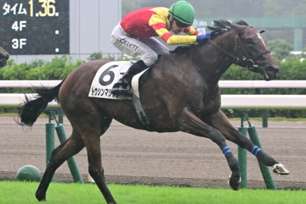 新潟2歳S2026データ分析！これは穴狙いムリ？ケンかな！？