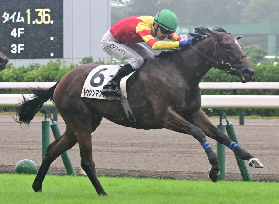 新潟2歳S2026データ分析！これは穴狙いムリ？ケンかな！？