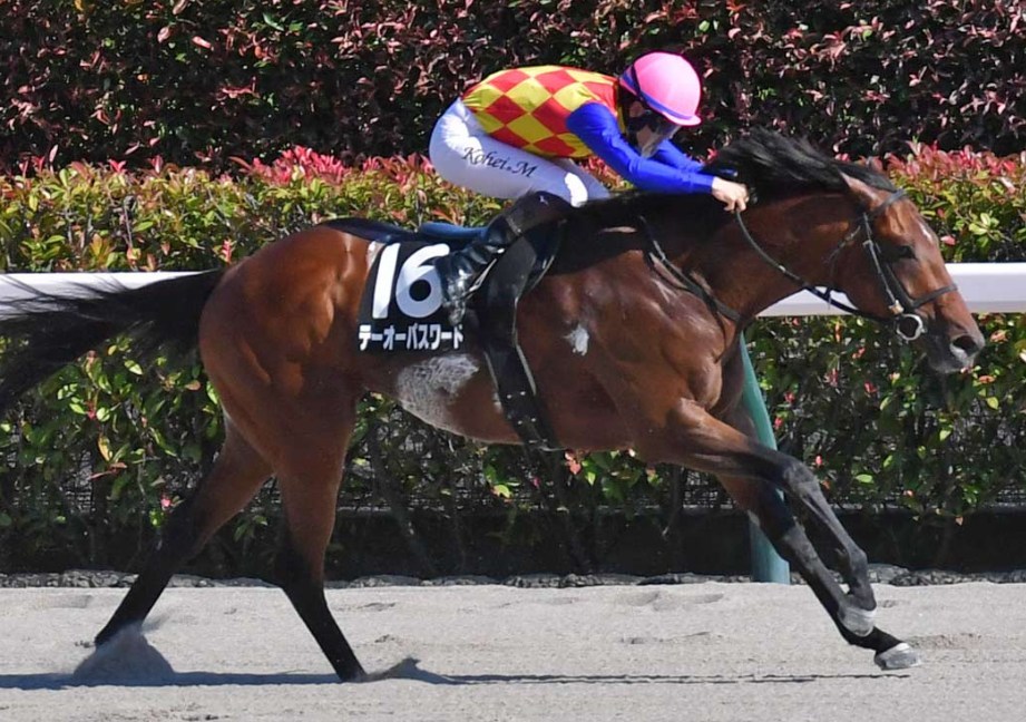 エルムS2026データ分析！大穴はこの馬じゃー！