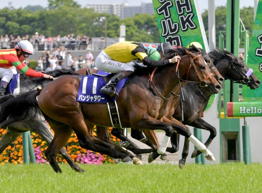 キーンランドC2026データ分析！大穴はこの馬じゃー！