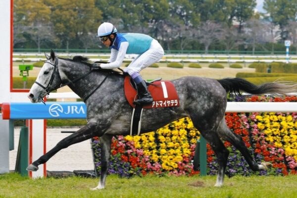 札幌記念2026データ分析！大穴はこの馬じゃー！