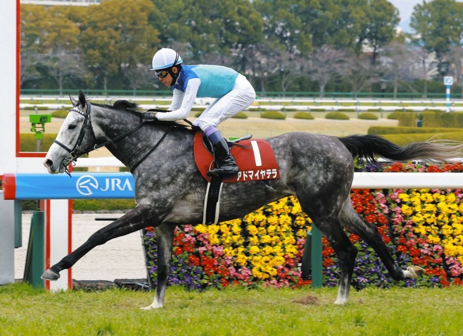 札幌記念2026データ分析！大穴はこの馬じゃー！