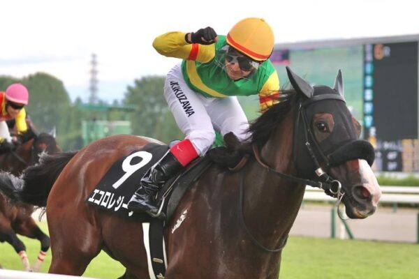 アイビスサマーダッシュ2026予想！大穴狙いで逝くぜぇ！