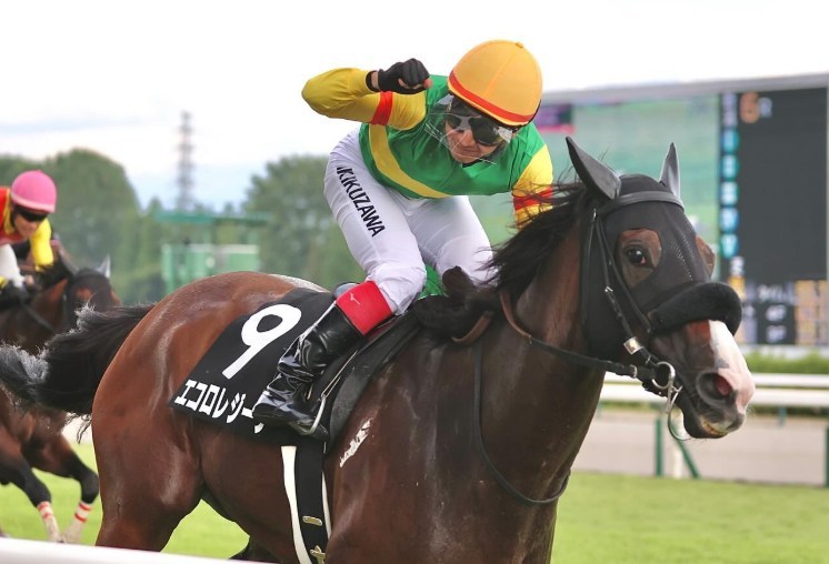 アイビスサマーダッシュ2026予想！大穴狙いで逝くぜぇ！