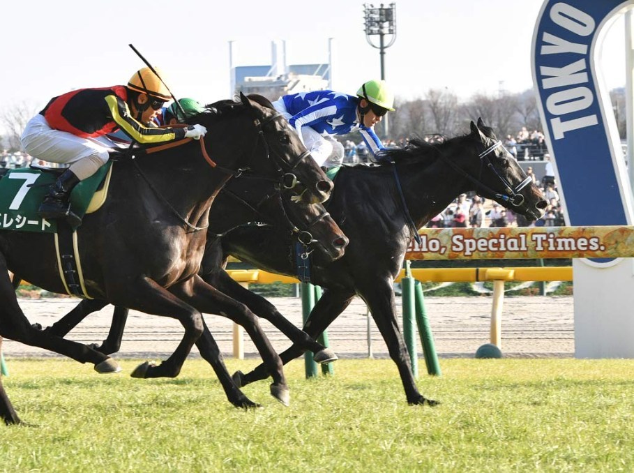 毎日王冠2026データ分析！大穴はこの馬じゃー！