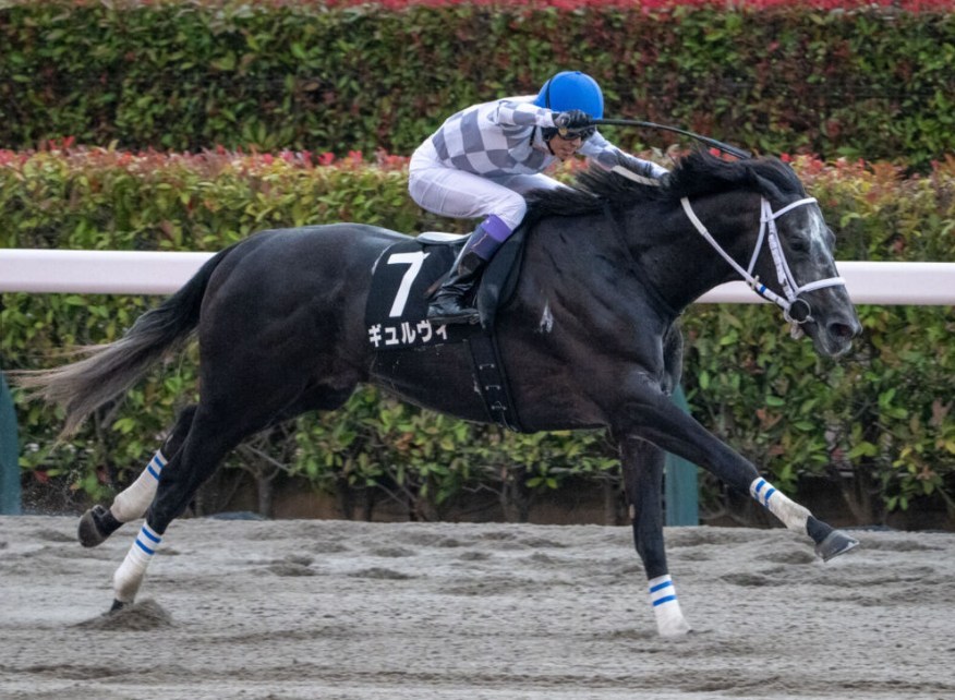 シリウスS2026データ分析！大穴はこの馬じゃー！