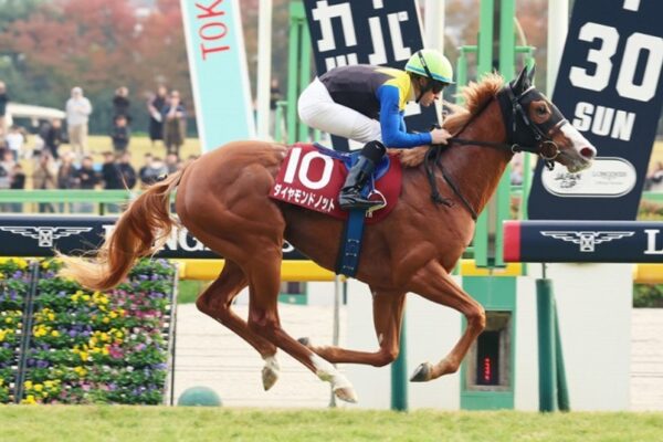 セントウルS2026データ分析！大穴はこの馬じゃー！