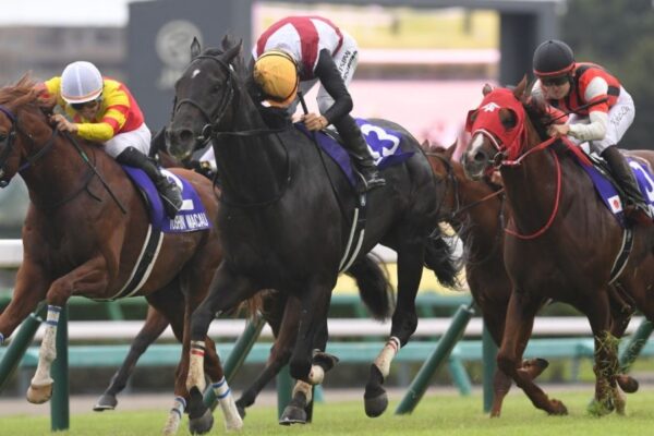 スプリンターズS2026予想！馬場は内有利？大穴狙いで逝くぜぇ！