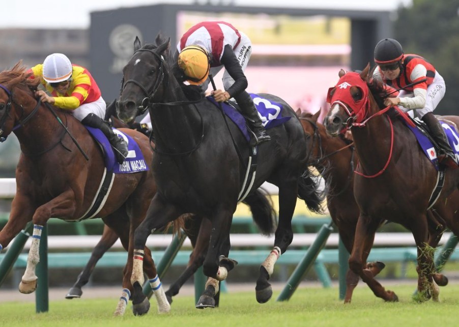 スプリンターズS2026予想！馬場は内有利？大穴狙いで逝くぜぇ！
