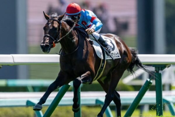 京成杯オータムハンデ2026データ分析！大穴はこの馬じゃー！