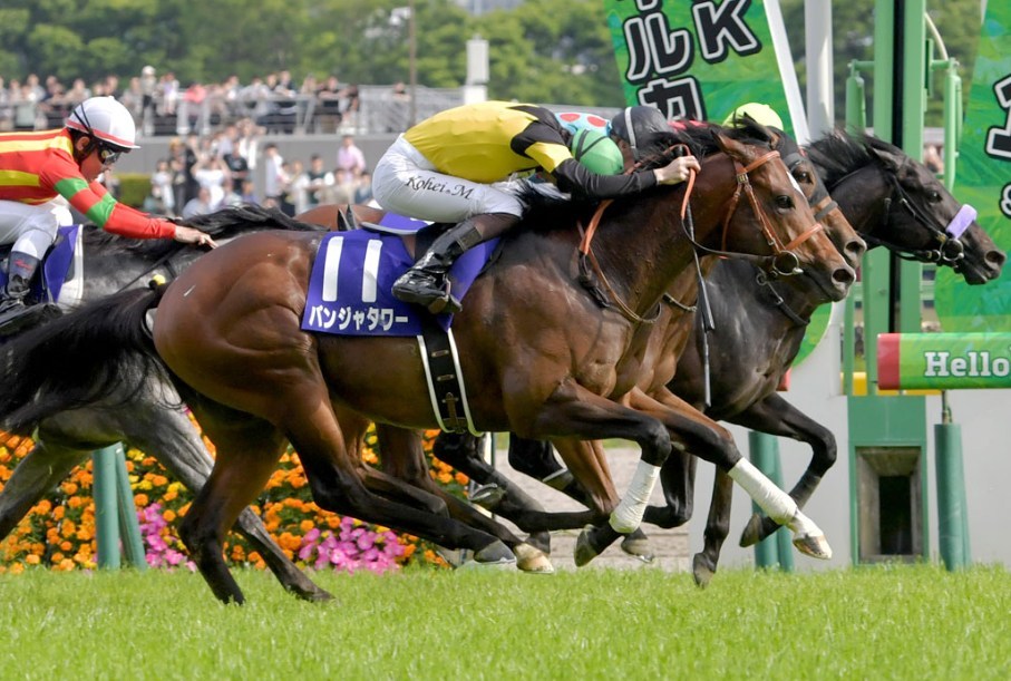 スプリンターズS2026調教チェック！特A評価はこの馬だ！