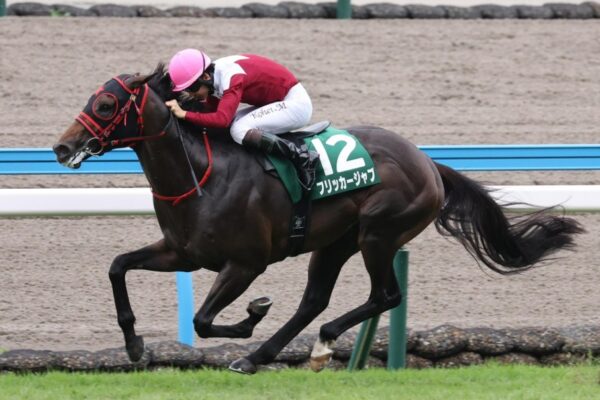 セントウルS2026予想！大穴狙いで逝くぜぇ！