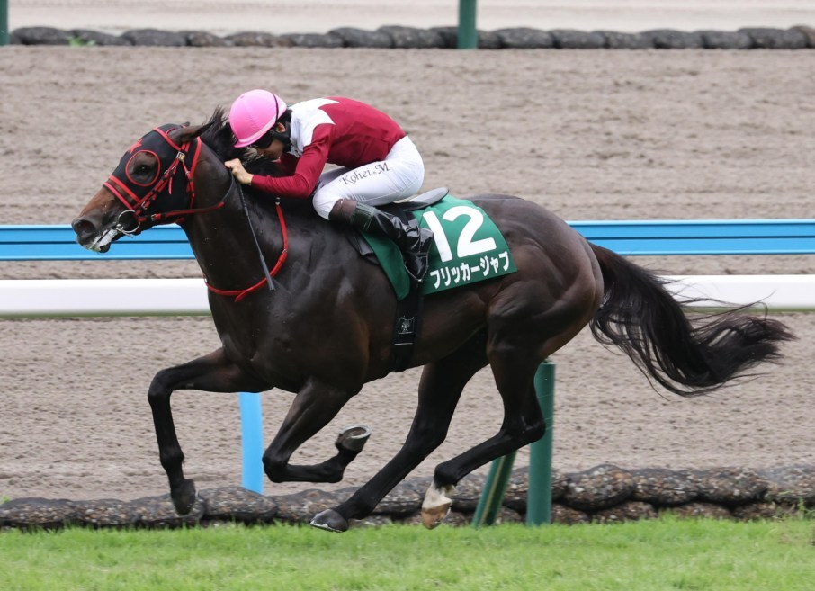 セントウルS2026予想！大穴狙いで逝くぜぇ！