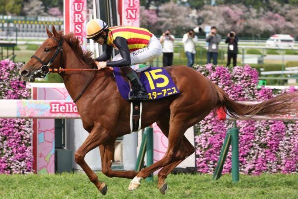 スプリンターズS2026データ分析！大穴はこの馬じゃー！