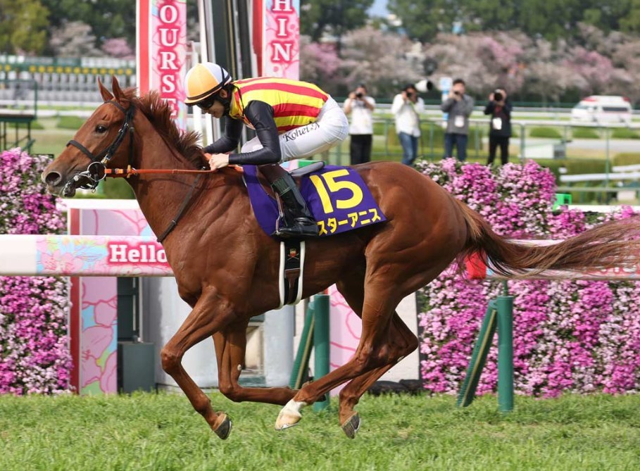 スプリンターズS2026データ分析！大穴はこの馬じゃー！