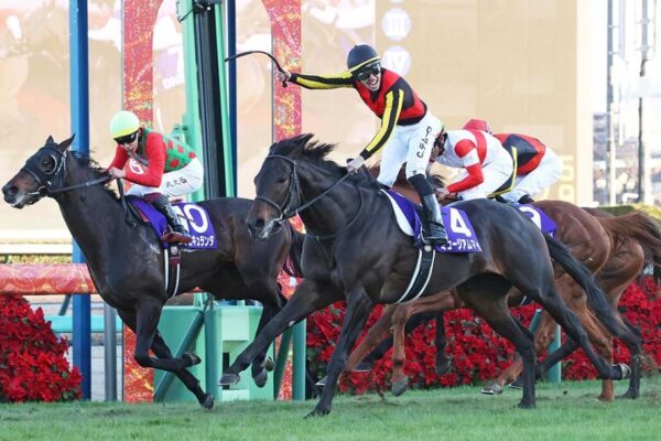 オールカマー2026予想！今日は大雨道悪！大穴狙いで逝くぜぇ！