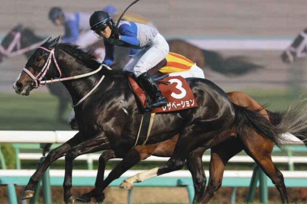 京成杯オータムハンデ2026予想！大穴狙いで逝くぜぇ！