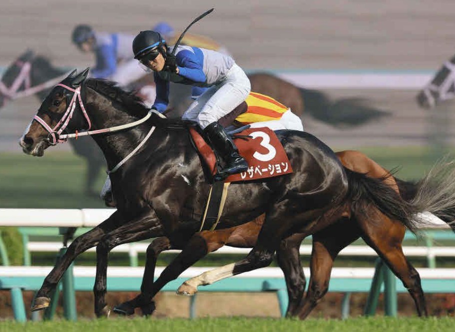京成杯オータムハンデ2026予想！大穴狙いで逝くぜぇ！