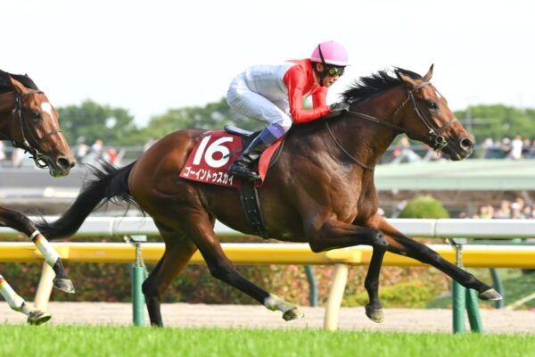セントライト記念2026データ分析！大穴はこの馬じゃー！
